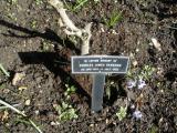image of grave number 101861